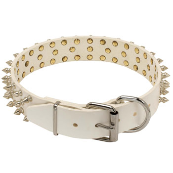 Dog leather collar with easy handling solid buckle