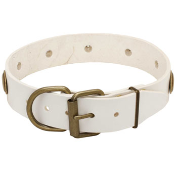 Leather dog collar white with easy adjustable buckle
