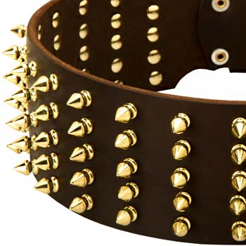 Fashion Spiked Collar with Gold-like Spikes