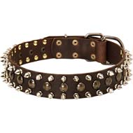 Designer Spiked and Studded Leather Dog Collar for your Cane Corso