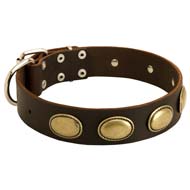 Splendid Vintage Ovals Leather Dog Collar for Cane Corso