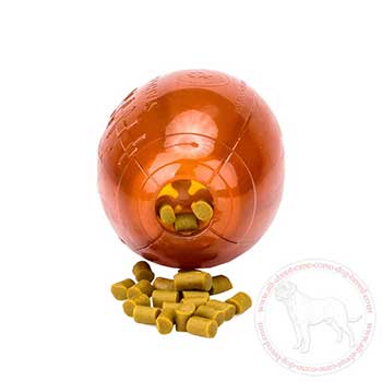 Cane Corso chew football with holes for small kibbles