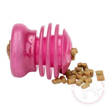 Cane Corso chew toy with holes for kibbles