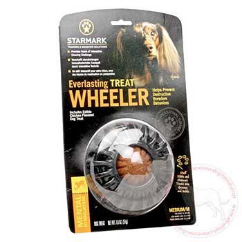 Wheel-like Cane Corso chew toy with treat