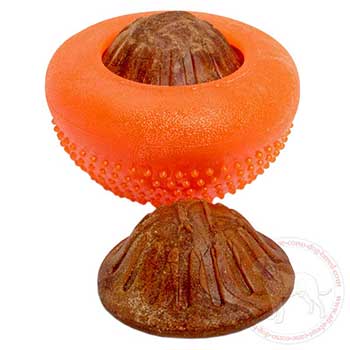 Cane Corso chewing toy for different tasty treats