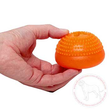 'Pleasant massage' dotted Cane Corso chew toy