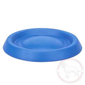 Entertaining Cane Corso flying disk