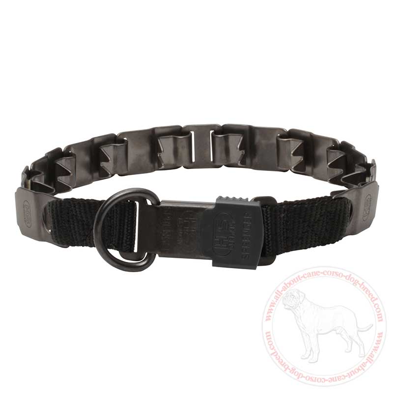 Where To Buy Material For Dog Collars Where To Buy Material For Dog Collars