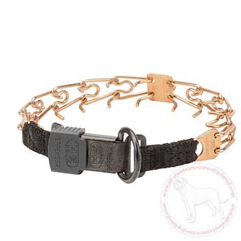 Cane Corso pinc collar with click lock system