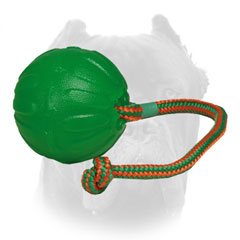 Lightweight Cane Corso rubber ball