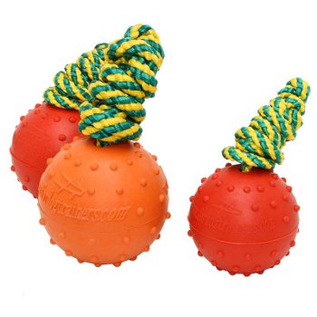 Cane Corso rubber ball on nylon string