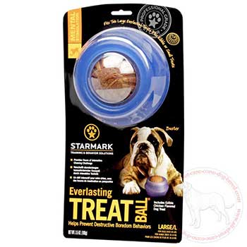 Cane Corso treat ball prevents boredom behaviour
