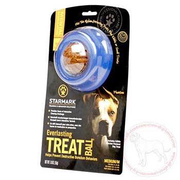 Cane Corso treat ball prevents boredom behaviour