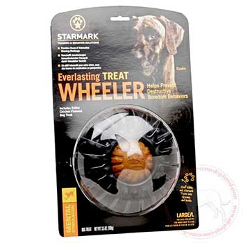 Cane Corso treat dispenser for chewing challenge