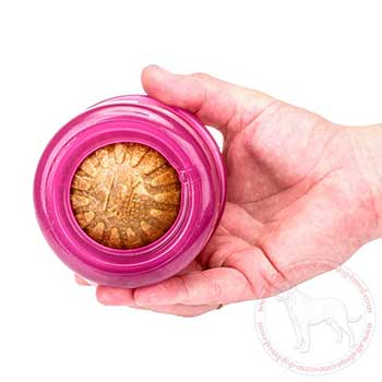 Cane Corso treat dispenser for dog's mental stimulation
