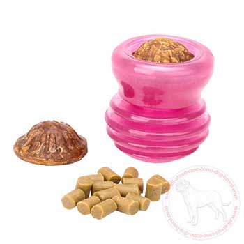 Cane Corso treat holder fits for dry food