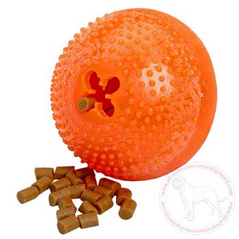 Challenging Cane Corso treat holder