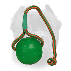 Rubber chew dog ball for Cane Corso