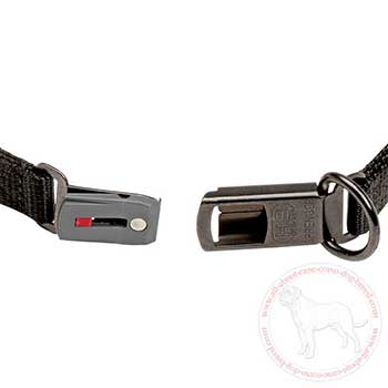 Click-lock buckle of curogan pinch collar