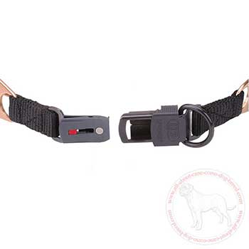 Click lock buckle of pinch collar fof Cane Corso