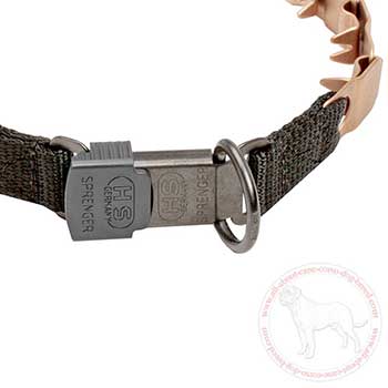 Click lock buckle of neck tech dog collar