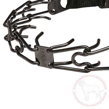 Close-up of Herm Sprenger Cane Corso pinch collar