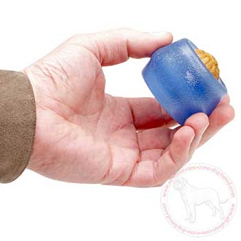Ergonomic dog chew toy for Cane Corso
