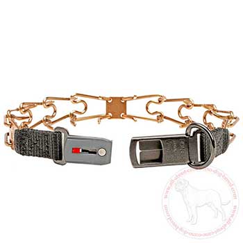 Easy-to-put-on dog pinch collar for Cane Corso