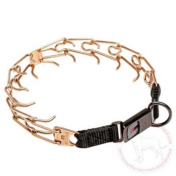 Dog pinch collar for Cane Corso