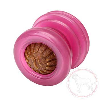 Treat dispenser for Cane Corso's interactive game