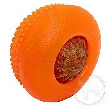 Dog treat dispenser for mental and physical work