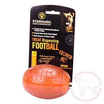 Everlasting dog treat dispensing football for Cane Corso