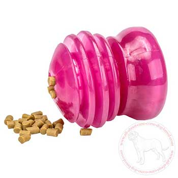 Dog treat holder for Cane Corso's interactive game