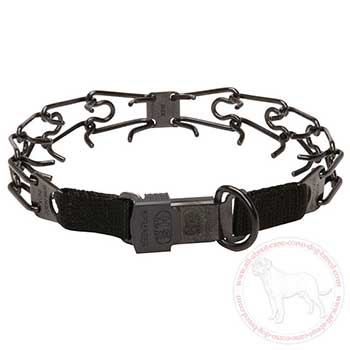 Herm Sprenger dog collar for Cane Corso