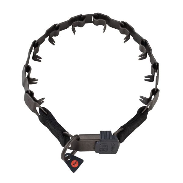 Cane Corso neck tech collar for behavior correction