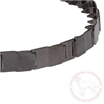 Close-up of neck tech collar for Cane Corso