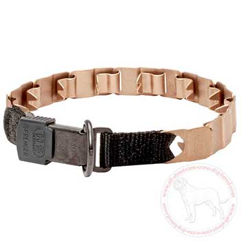 Curogan neck tech Cane Corso collar with D-ring