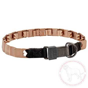 Curogan neck tech Cane Corso collar with D-ring