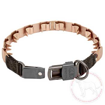 Neck tech dog collar with click lock system