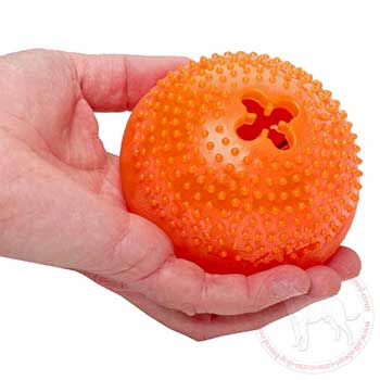 Dotted treat dispenser for Cane Corso