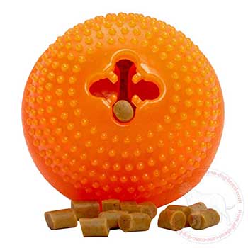 Dotted treat dispenser for Cane Corso