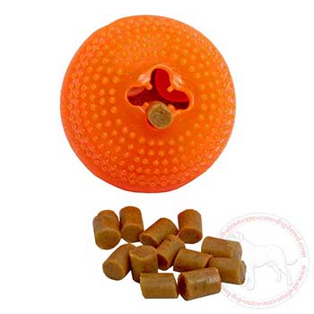 Interactive treat dispenser for Cane Corso