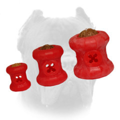 All sizes of Cane Corso toy made of foam