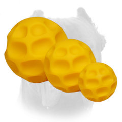 Possible sizes of tetraflex dog toys for Cane Corso