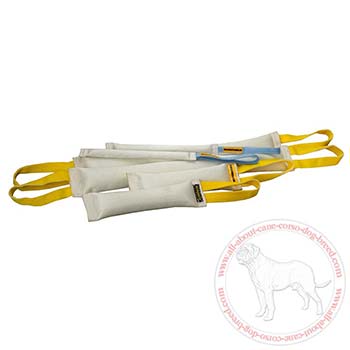 Set of fire hose dog bite tugs