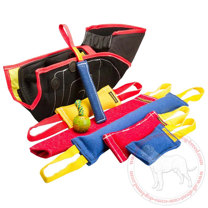 dog training accessories