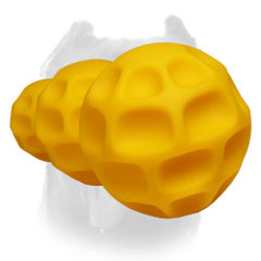 Full set of interactive tetraflex dog toys