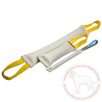 Fire hose dog bite tugs - 3 durable training items