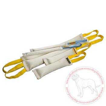 Fire hose dog bite tugs consisting of 6 items