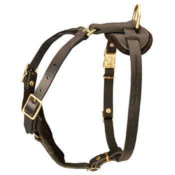 Leather Dog Harness with Padded Chest Plate